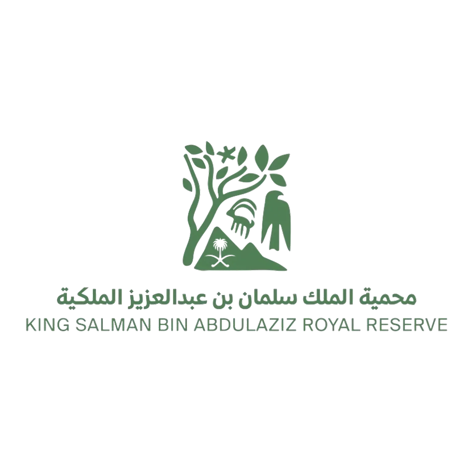 King Salman Bin Abdulaziz Royal Reserve